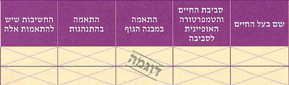 (בספר שבע תמונות:)